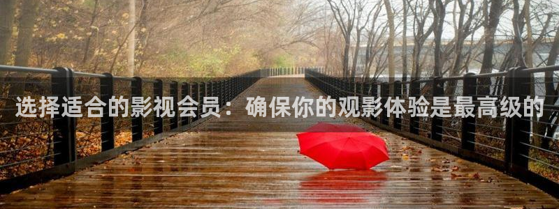 泡泡电影网最新电影：选择适合的影视会员：确保你的观影体验是最高级的