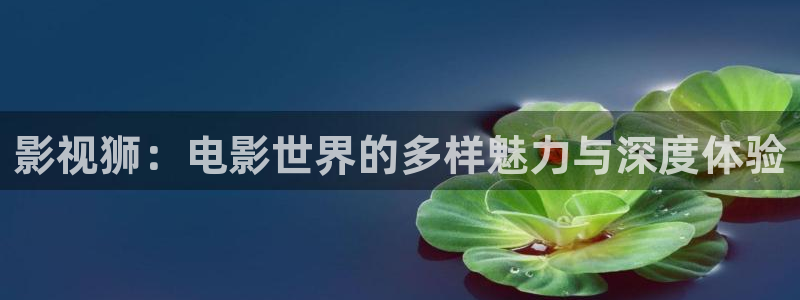 日本电影泡泡：影视狮：电影世界的多样魅力与深度体验