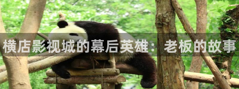 泡泡影视哈片：横店影视城的幕后英雄：老板的故事
