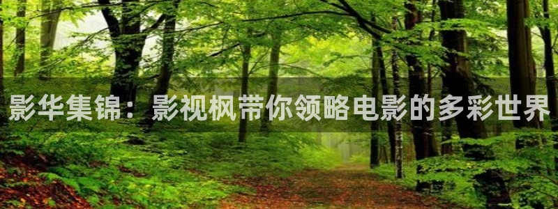 泡泡影视ppys：影华集锦：影视枫带你领略电影的多彩世界