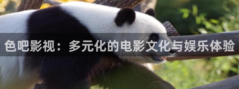 泡泡 影视：色吧影视：多元化的电影文化与娱乐体验