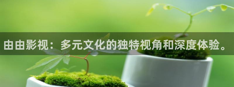 泡泡图：由由影视：多元文化的独特视角和深度体验。