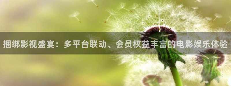 泡泡影视电视剧狂飙：捆绑影视盛宴：多平台联动、会员权益丰富的电影娱乐体验