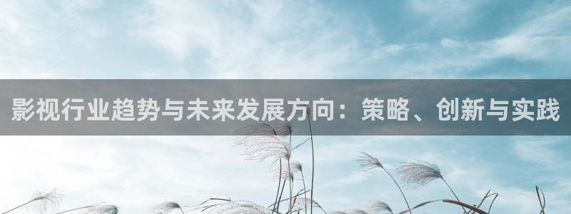 泡泡影视电影大全：影视行业趋势与未来发展方向：策略、创新与实践