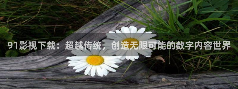 泡泡影视网页版：91影视下载：超越传统，创造无限可能的数字内容世界