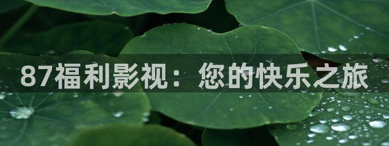 电影天堂泡泡：87福利影视：您的快乐之旅